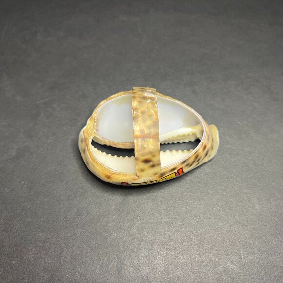 Vintage Unique Asbury Park NJ Souvenir Collectible Basket Shaped Cowrie Shell - Picture 1 of 8